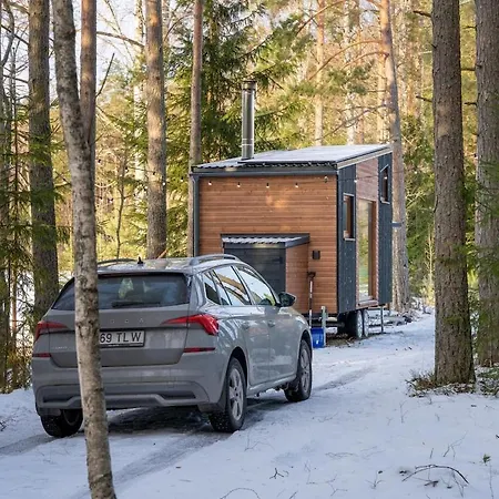 Taalihomes Metsamajake - Kadakasaun Hinnas Holiday home